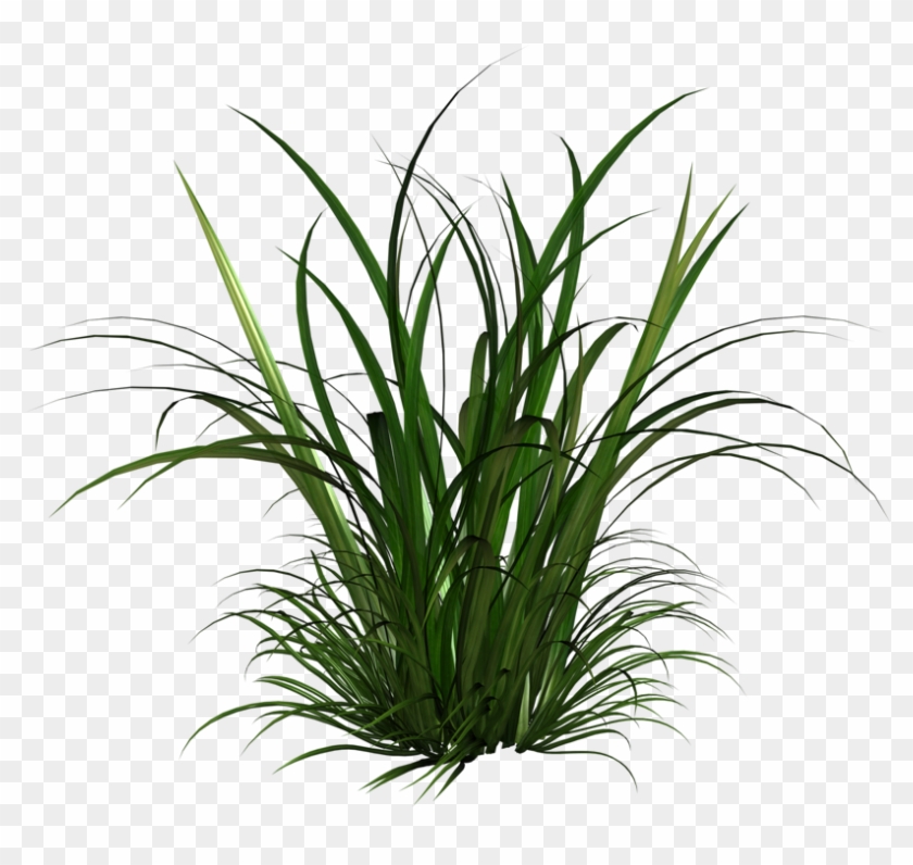 Free Icons Png - Tall Grass Clipart #294814