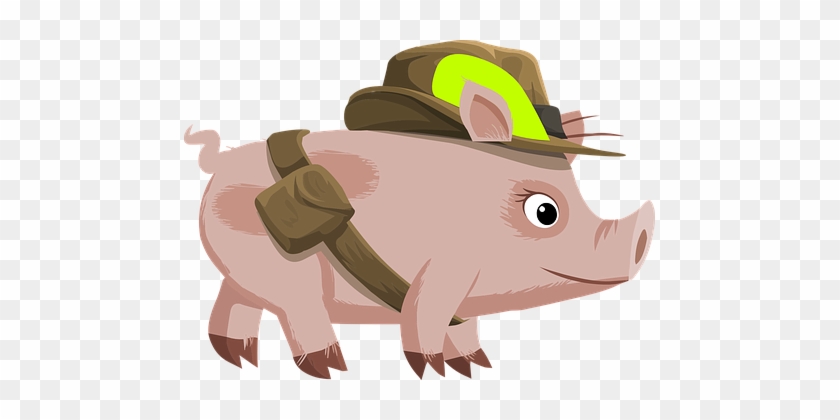 Pig, Pink, Animal, Hat, Belt, Big Eyes - Explorer Pig #294895