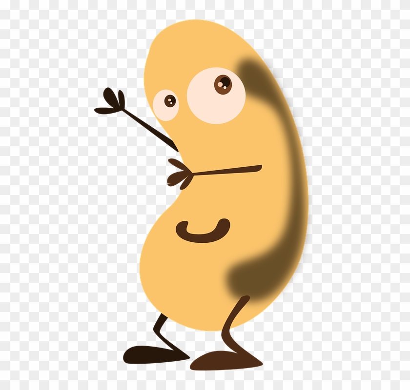 Bean, Potato, Face, Figure, Cartoon, Smile, Happy - Cartoon Kidney Bean #295079