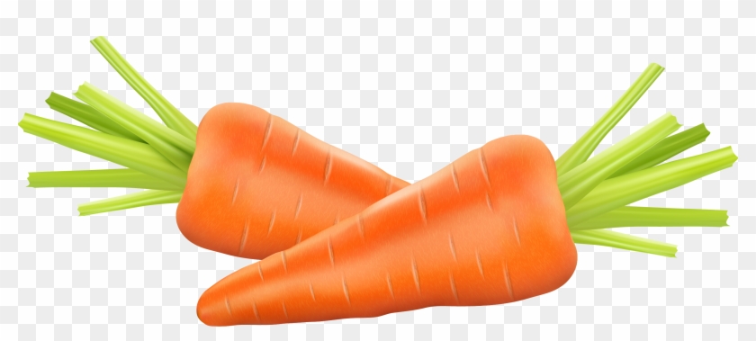 Carrot Photography Euclidean Vector Clip Art - Carrots Vector Png #295696