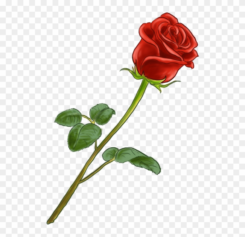 La Fleur Est Parfaite Nice Dessin De Rose En Couleur - Dessin De Rose En Couleur #295703