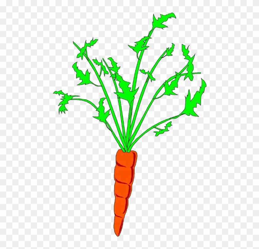 Carrot Animation Clip Art - Baby Carrot #295796