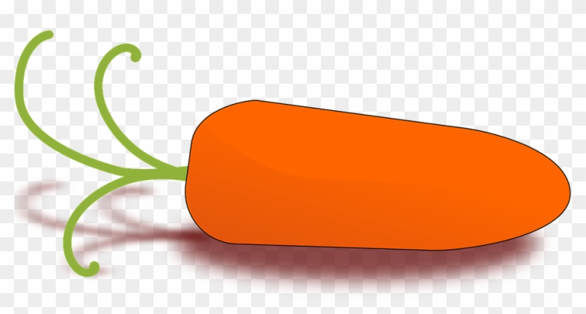 Carrot Clipart Orange Color - Food For Baby Drawing #295807