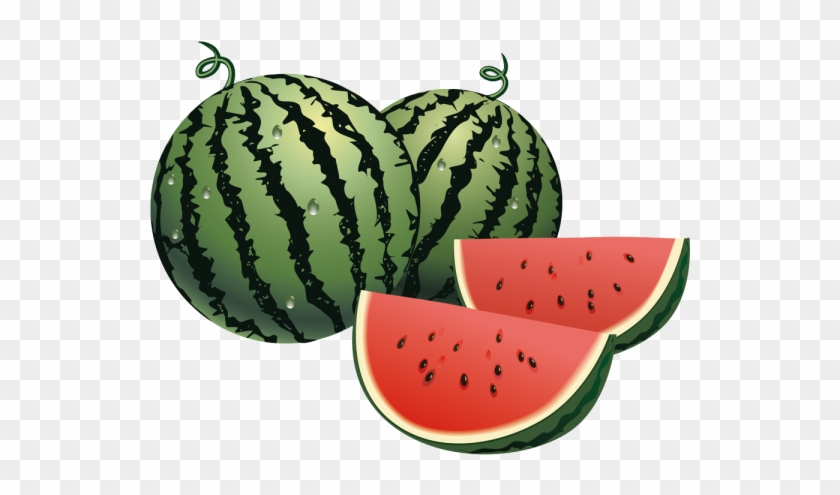 Watermelon Vector #295827