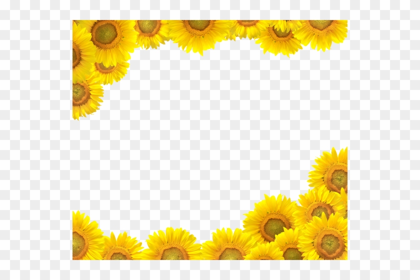 Sunflower Border - Sunflower Border Clip Art Free #296102