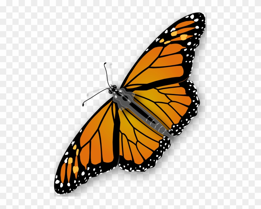 Butterfly Clip Art Free Vector - Butterfly Clipart No Background #296109