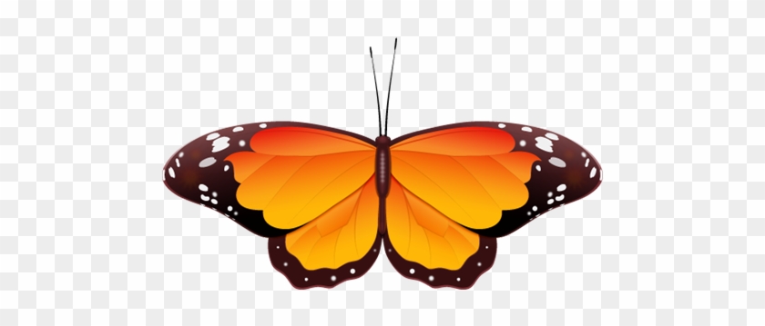 Orange Butterfly Clipart - Blue And Orange Butterfly Clipart #296116