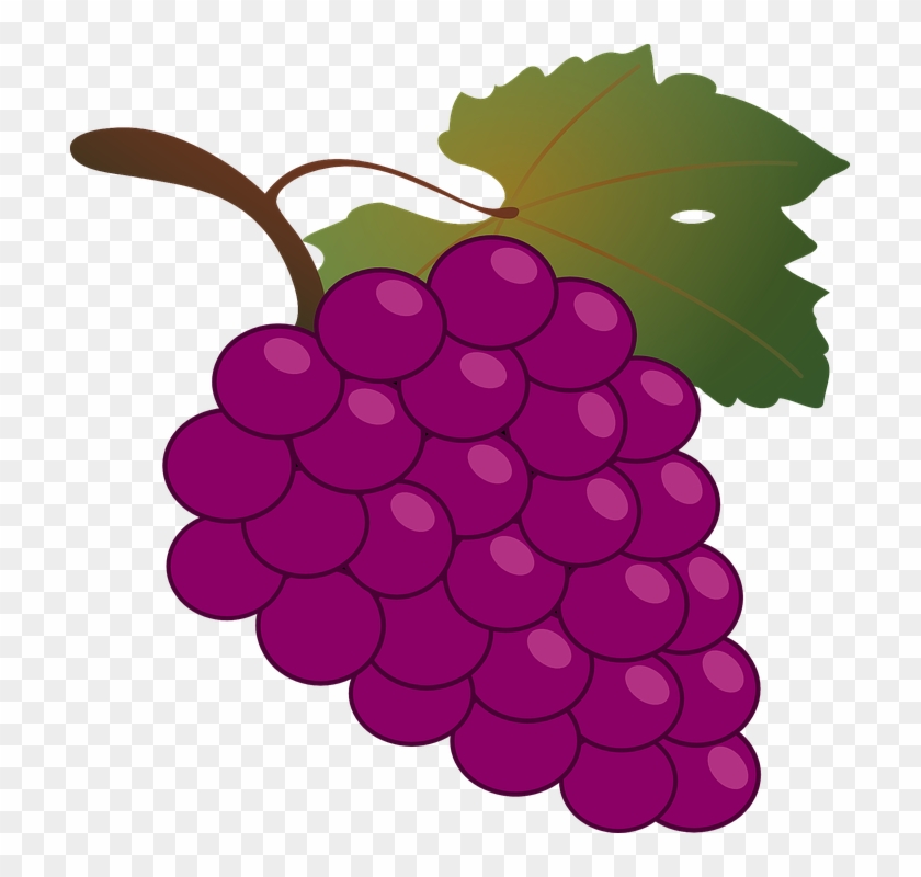 Grapevine Stencil 9, Buy Clip Art - Bunch Of Grapes #296472