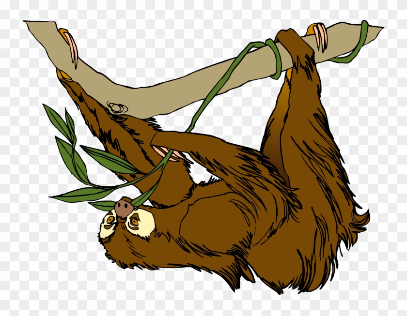 Sloth Clipart - Sloth On Tree Clipart #296516