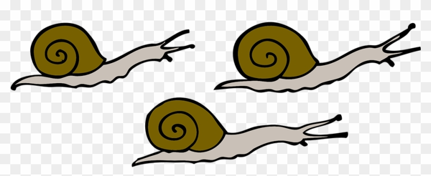 Slug Cliparts 22, Buy Clip Art - Snails Clipart #296552