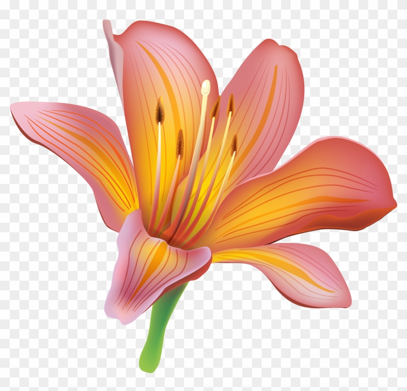 Lily Flower Png Clipart Best Web - Lily Flower Clipart #296744