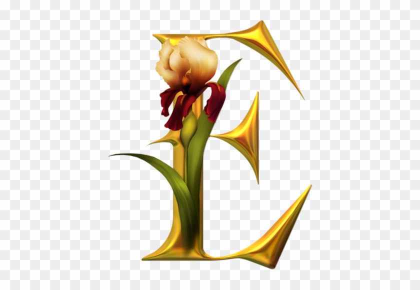 Alpha Iris - Flower Alpha Bets #296765