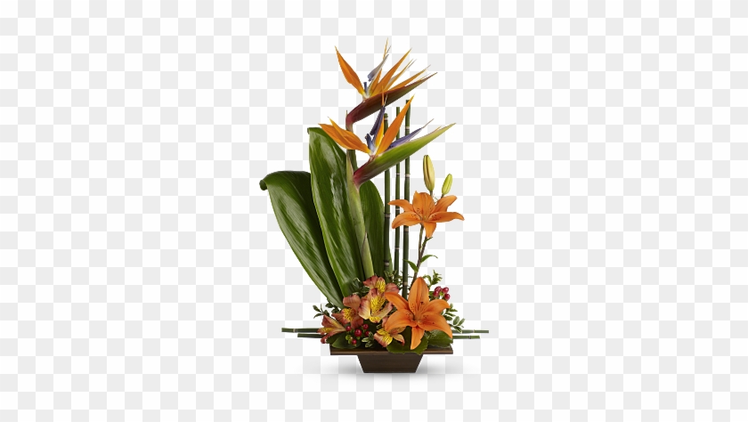 Teleflora's Exotic Grace - Bird Of Paradise Flower #296798