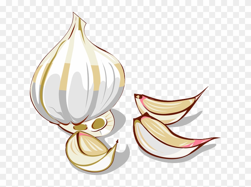 Garlic Onion Vegetable Clip Art - Garlic Onion Vegetable Clip Art #296874