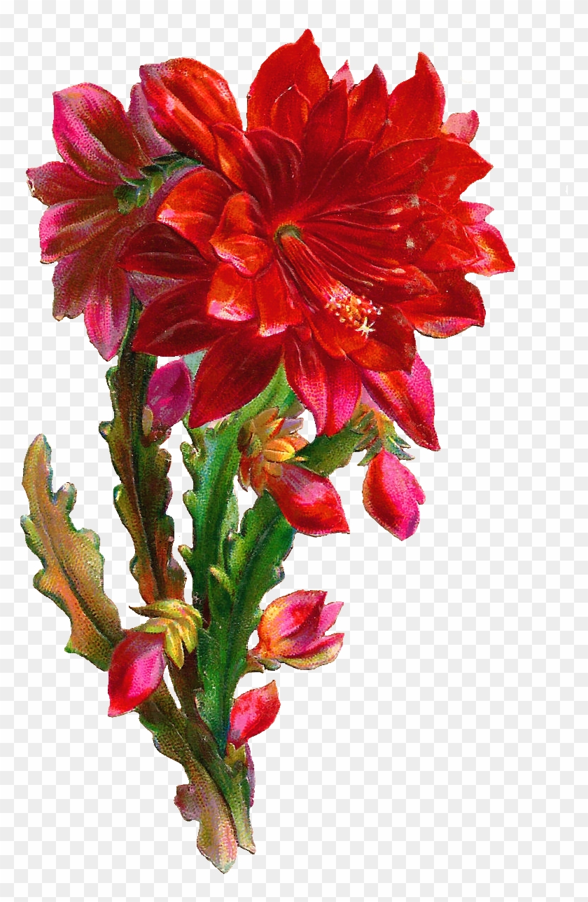Graphic Art Flowers - Floristeria En Santo Domingo Republica Dominicana #296841