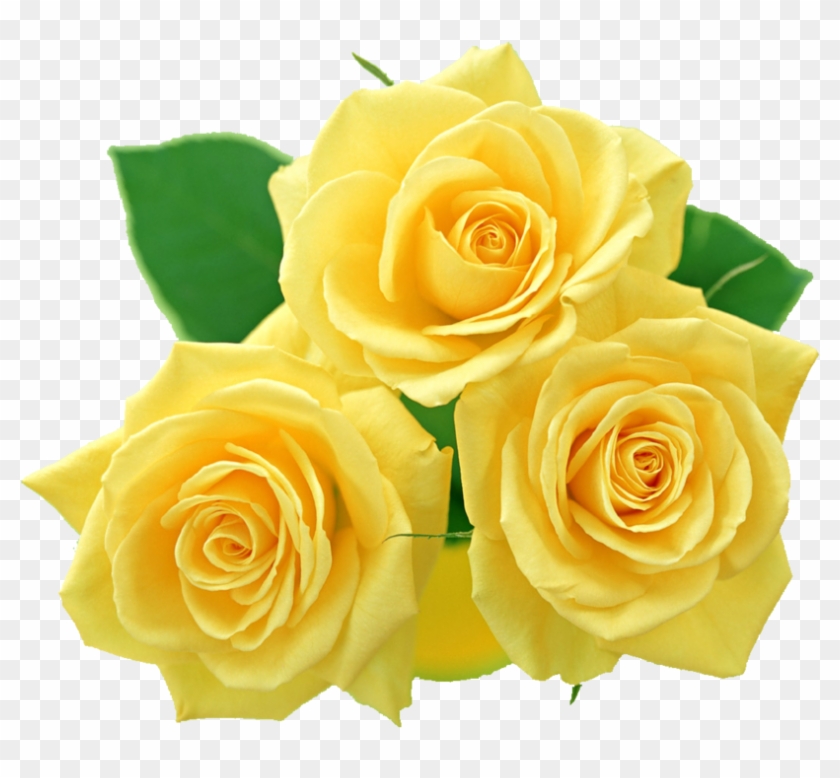 Yellow Roses Png By Melissa - Yellow Roses Png #296894