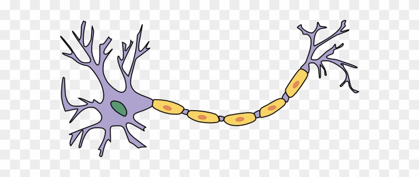 Free Vector Neuron With Axon Clip Art - Partes De Una Neurona #296986