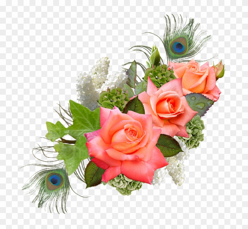 Rose, Rose Flower, Hydrangeas, Lilac, Peacock - Wedding Wishes #297109