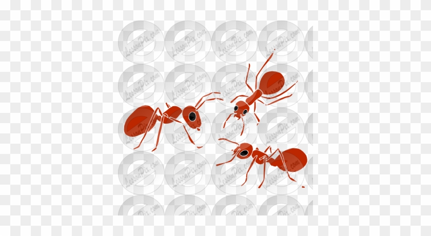 Ants Stencil - Cartoon #297121