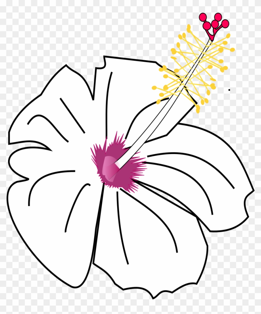 Hibiscus Flower Drawings 3, Buy Clip Art - Drawing #297216