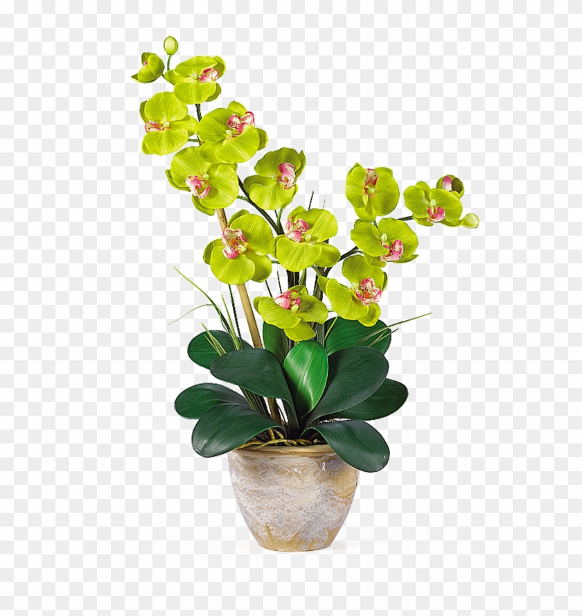 Moth Orchids Artificial Flower Plant Stem - Moth Orchids Artificial Flower Plant Stem #297886