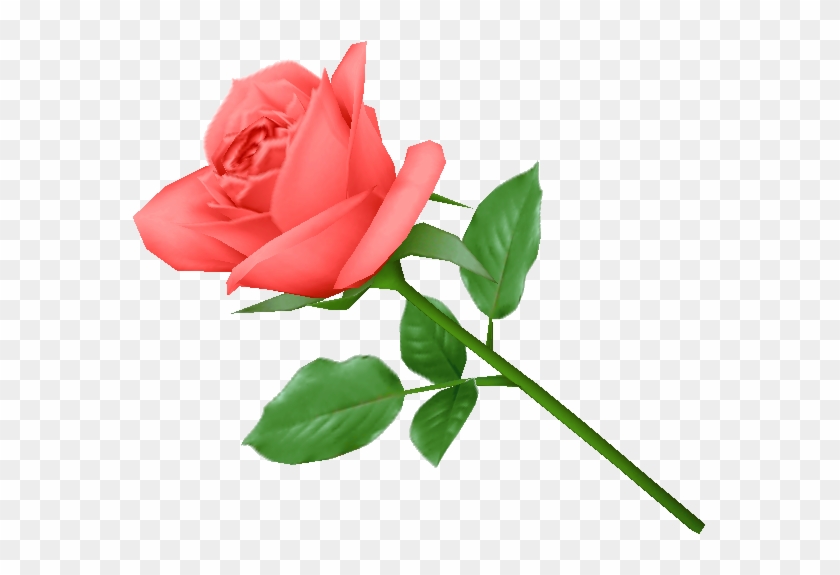 Rose Png Flower Images, Free Download - وردة Png #297498