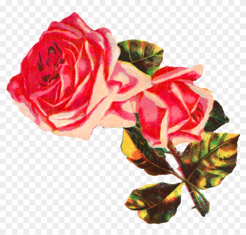Pink Rose Clipart Collection Clip Art Png - Rose #297516