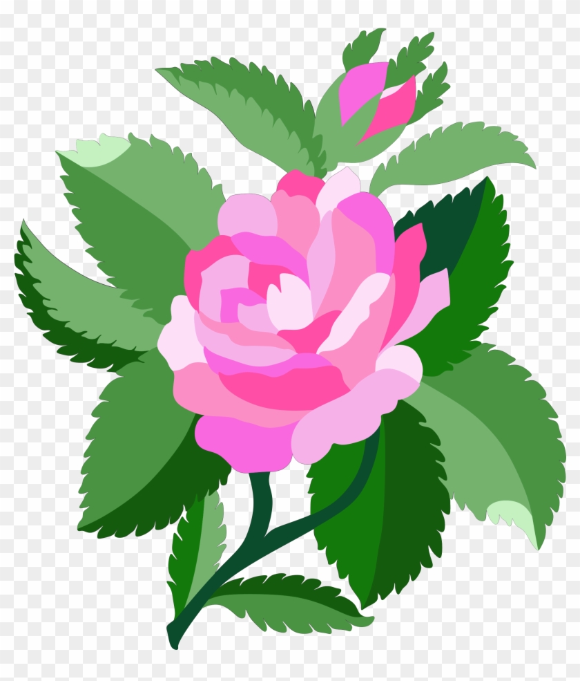 Free Design For Damask Rose - Rose Flowers Designs #297566