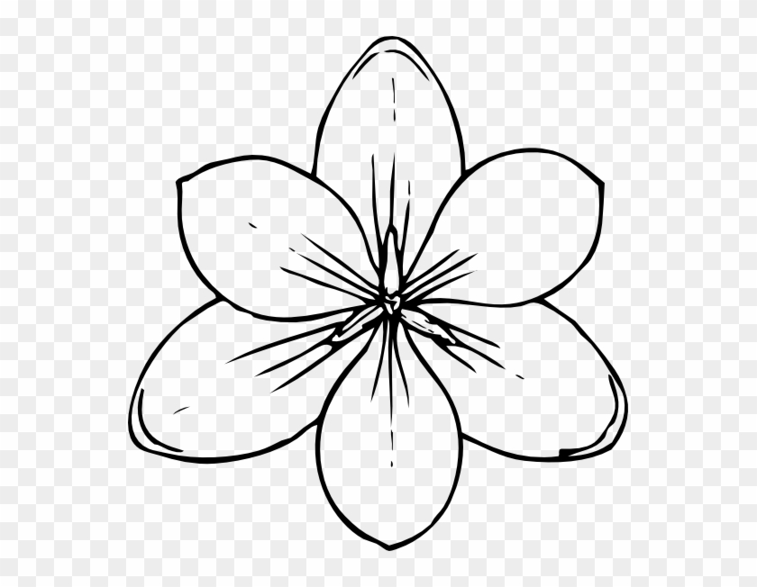Flower Coloring Book - Flower Coloring Book #297585