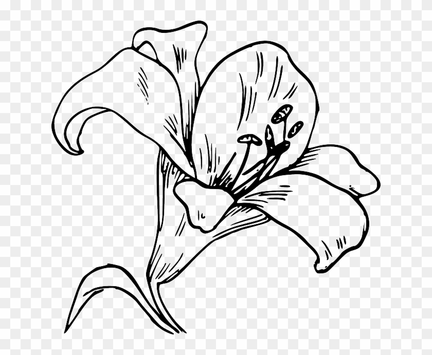 Lily Flower Tattoo by Klára Marečková