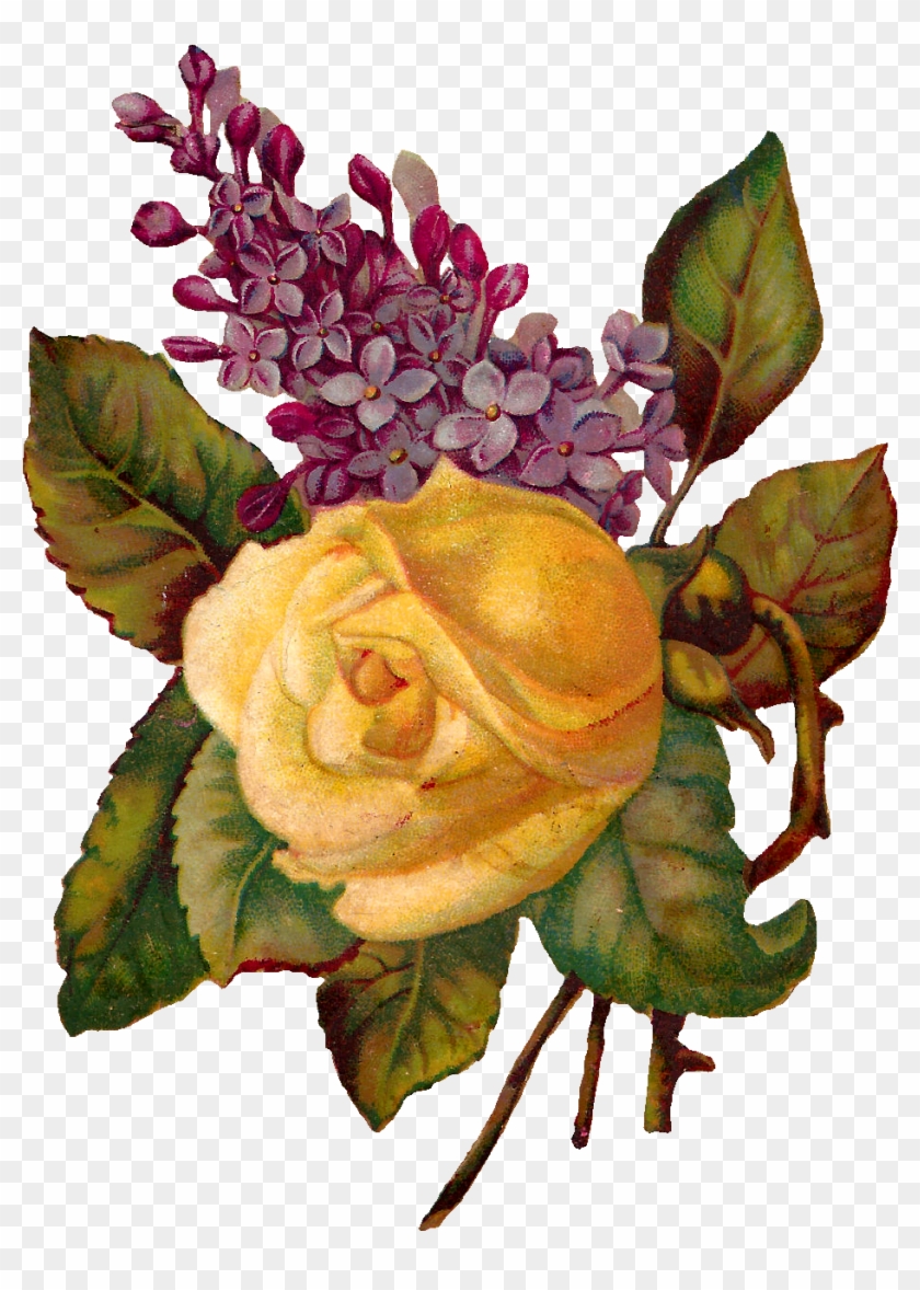 Rose And Lilac - Illustration #297635