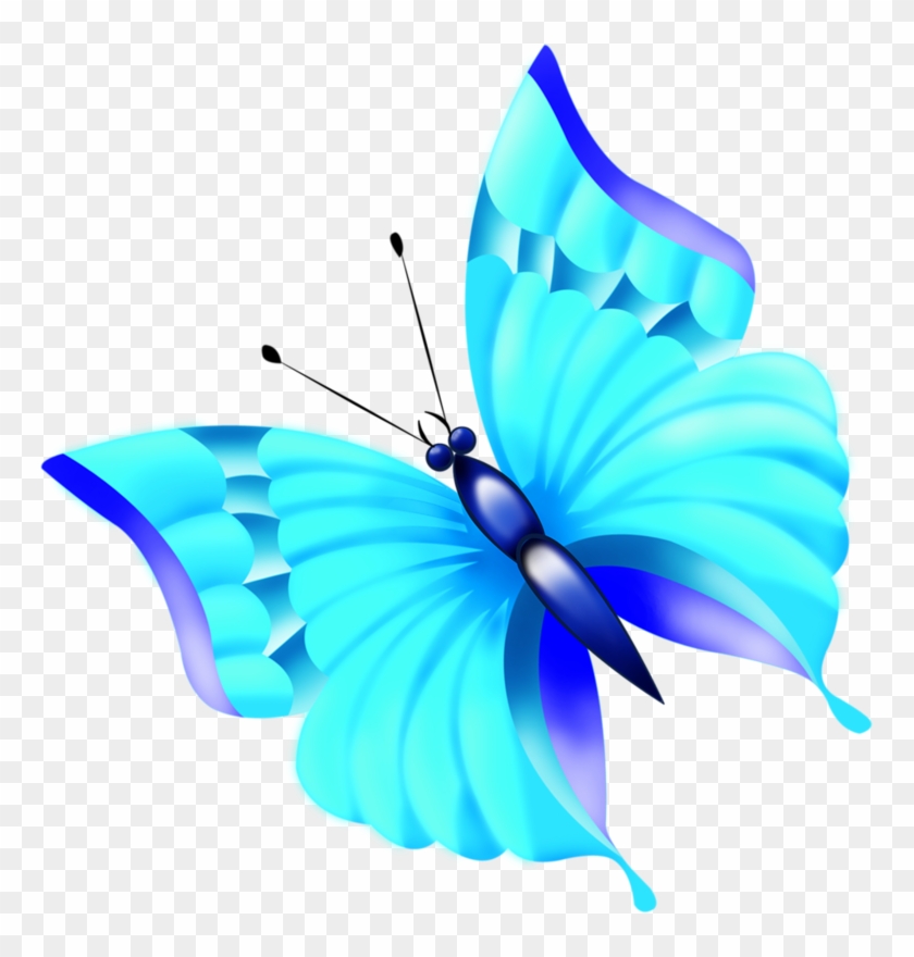 Butterfly #297735