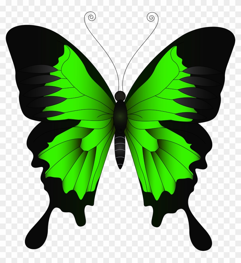 Green Butterfly Png Clip Art Image - Blue And Purple Butterfly #297760