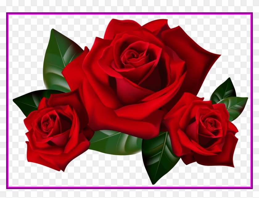 Appealing Bouquet Of Frame Clipart Kid Rose Art Image - Transparent Background Roses Transparent #297761