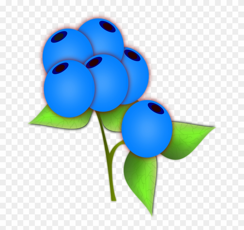 Blueberries Png Clip Art - Blå Bær I Skogen #297798