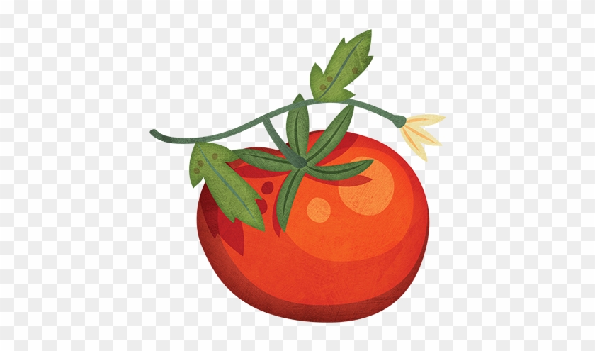 Tomato - Tomato Grow Clipart #297828