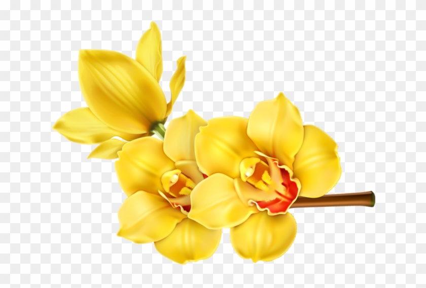 Orchid Flower Clip Art - Tropical Flower Png #297892