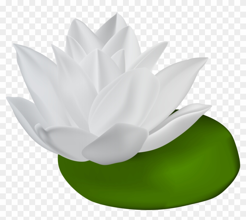 White Water Lily Transparent Png Clip Art Image - White Water Lily Png #297917