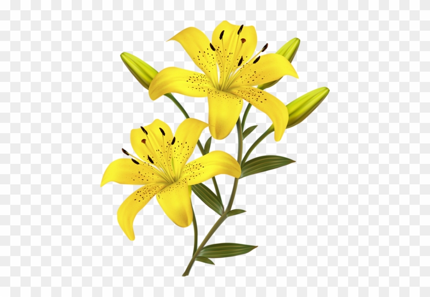 Flowers - Borda De Flores Amarelas #297958