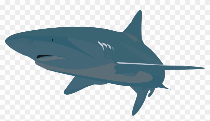 Digital Illustrations - Great White Shark #297993