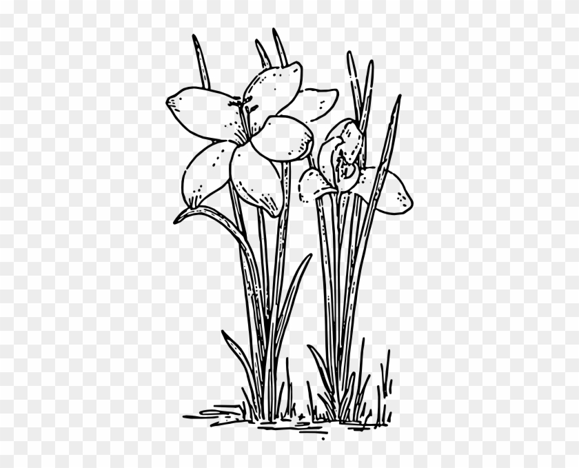 Free Vector Rose Flower Crocus Clip Art - Clip Art Black And White Plant #297994