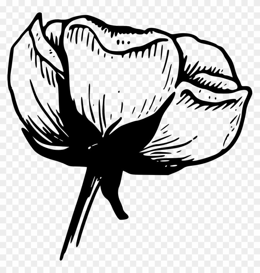 Flowers Clip Art Black And White Free - Flower Animation Black And White #298074