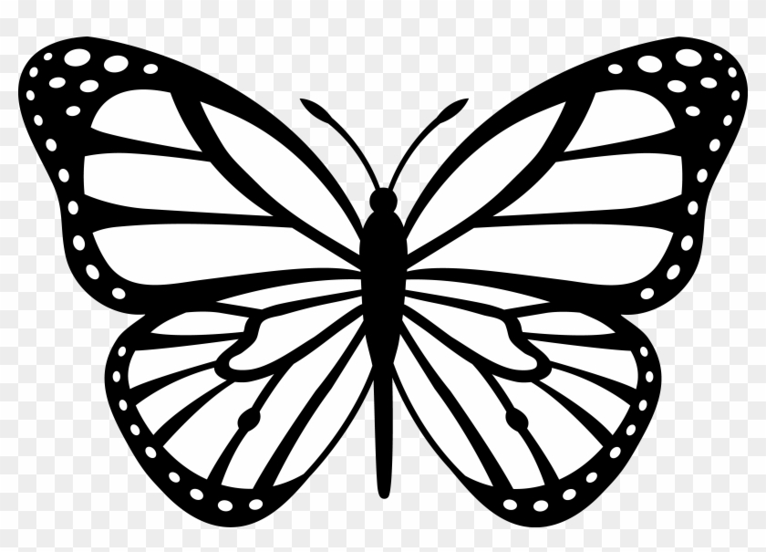 Black And White Butterfly Clip Art Coloring Page For - Black And White Butterfly #298110