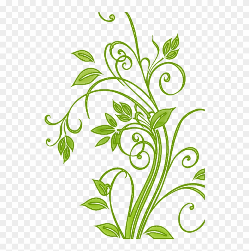 Flowers Vectors Ornament Png 1 - Flower Cdr #298150