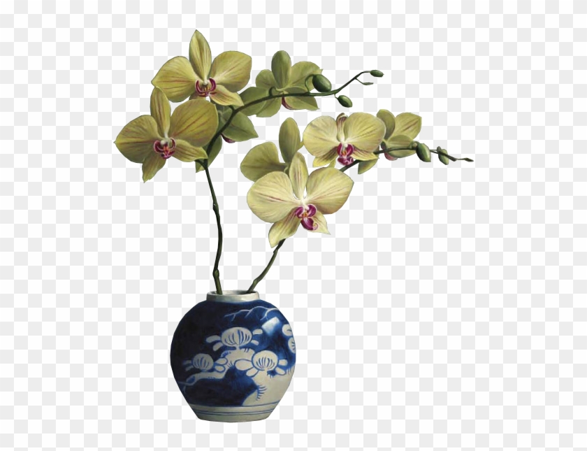 Orchids In Vases - Phalaenopsis Sanderiana #298173
