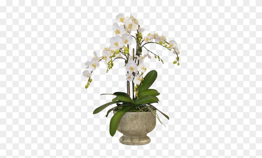 34" Orchids Arrangement In Urn - Faux - The French #298176