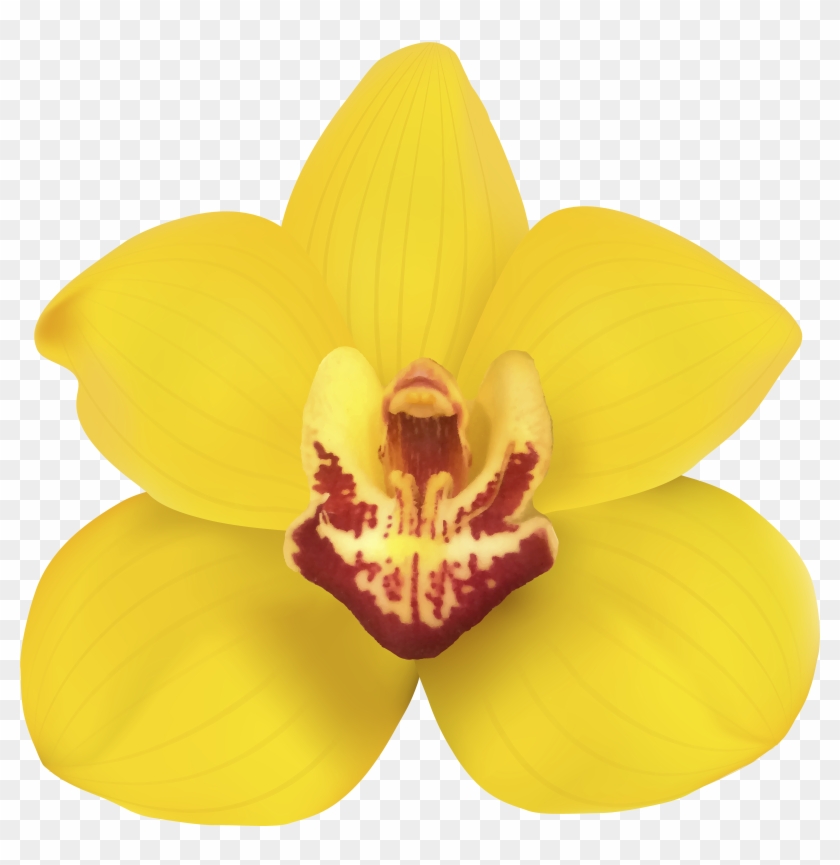 Yellow Orchid Png Clip Art - Clip Art #298214
