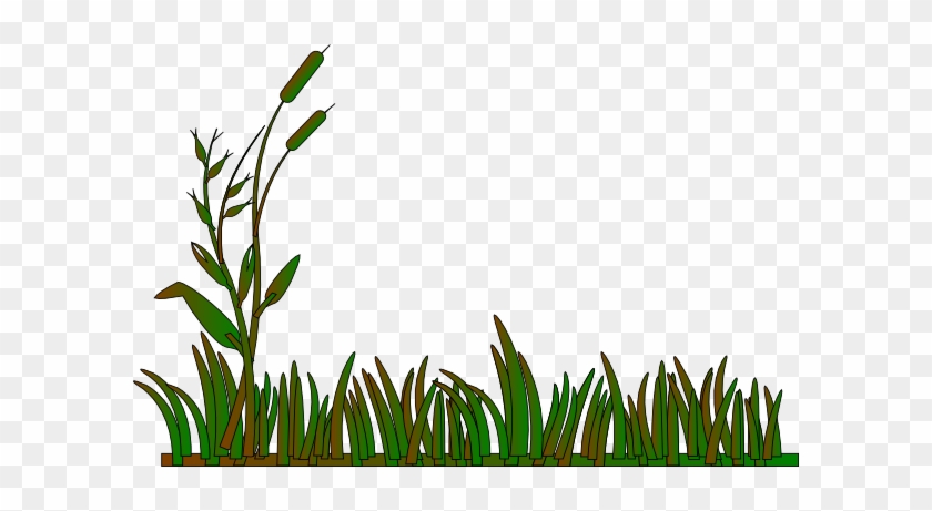 Cattails Outline Green/brown Clip Art At Clipart Library - Jungle Grass Clipart #298204