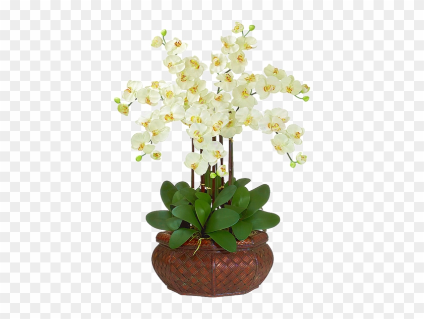 Flowers - Orchid Flower Artificial Arrangements #298224
