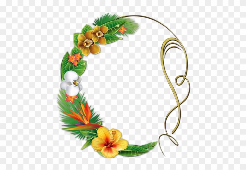 Tropical - Teth #298287